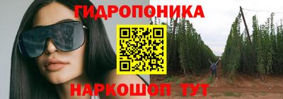 Альфа ПВП Обнинск