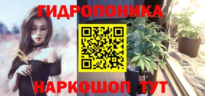 прущие грибы Нягань