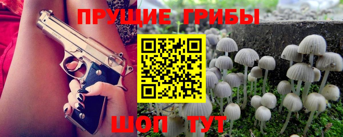 Галлюциногенные грибы прущие грибы  Галлюциногенные грибы Cubensis  Новокубанск  Вход с VPN 